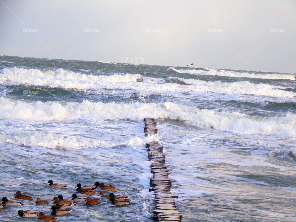 Wellen an der Ostsee