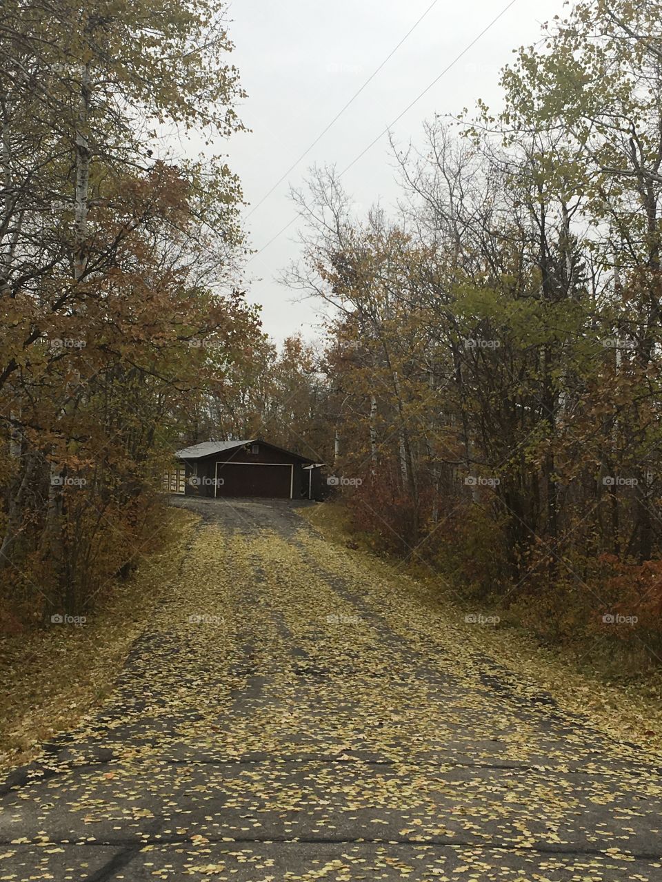 Fall driveway 