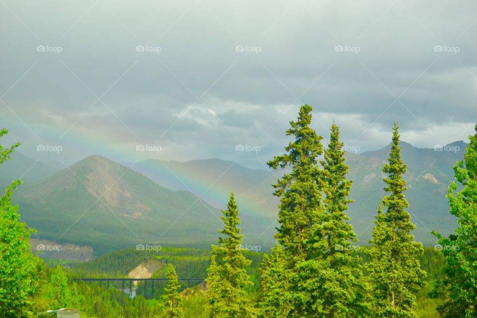 Denali Rainbow Over Railroad Trestle