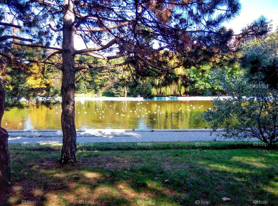 at a lake у озера