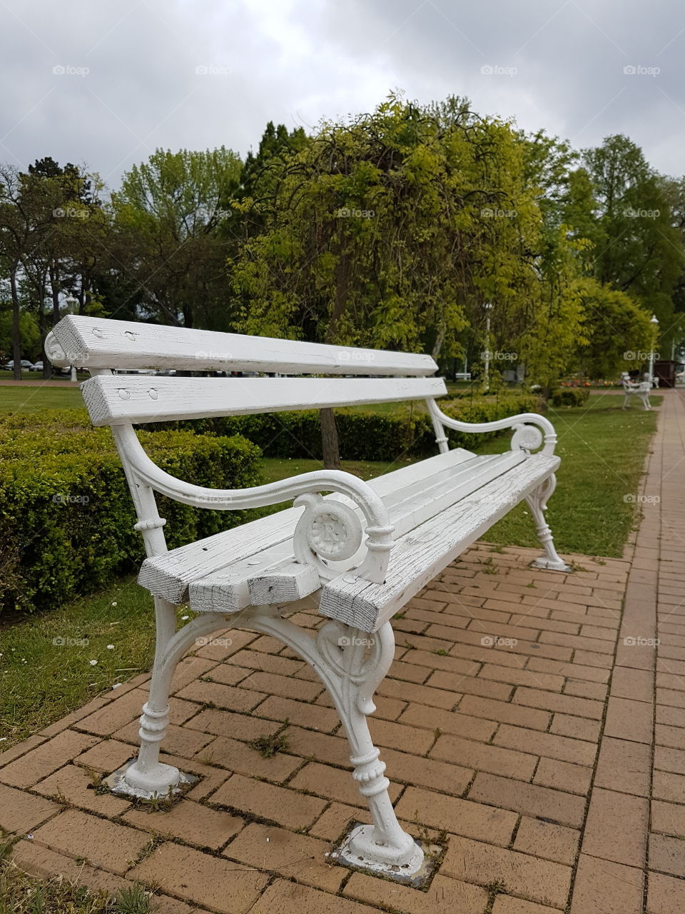 white iron park bench besides Palic lake, Serbia