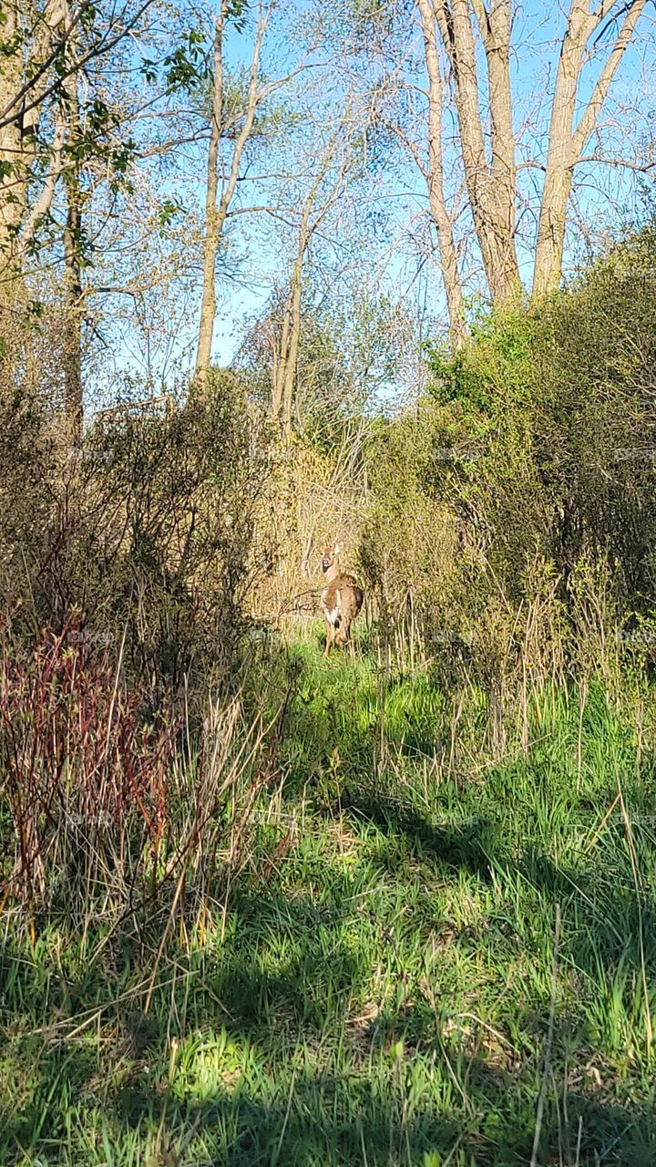 Are You Following Me?