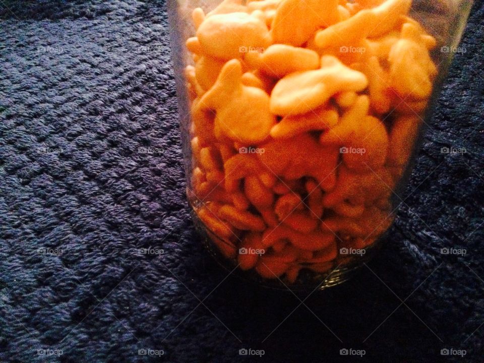 Snack time. Gold fish
