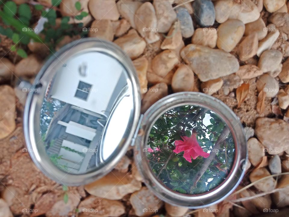 flower and house in a mirror, over stones