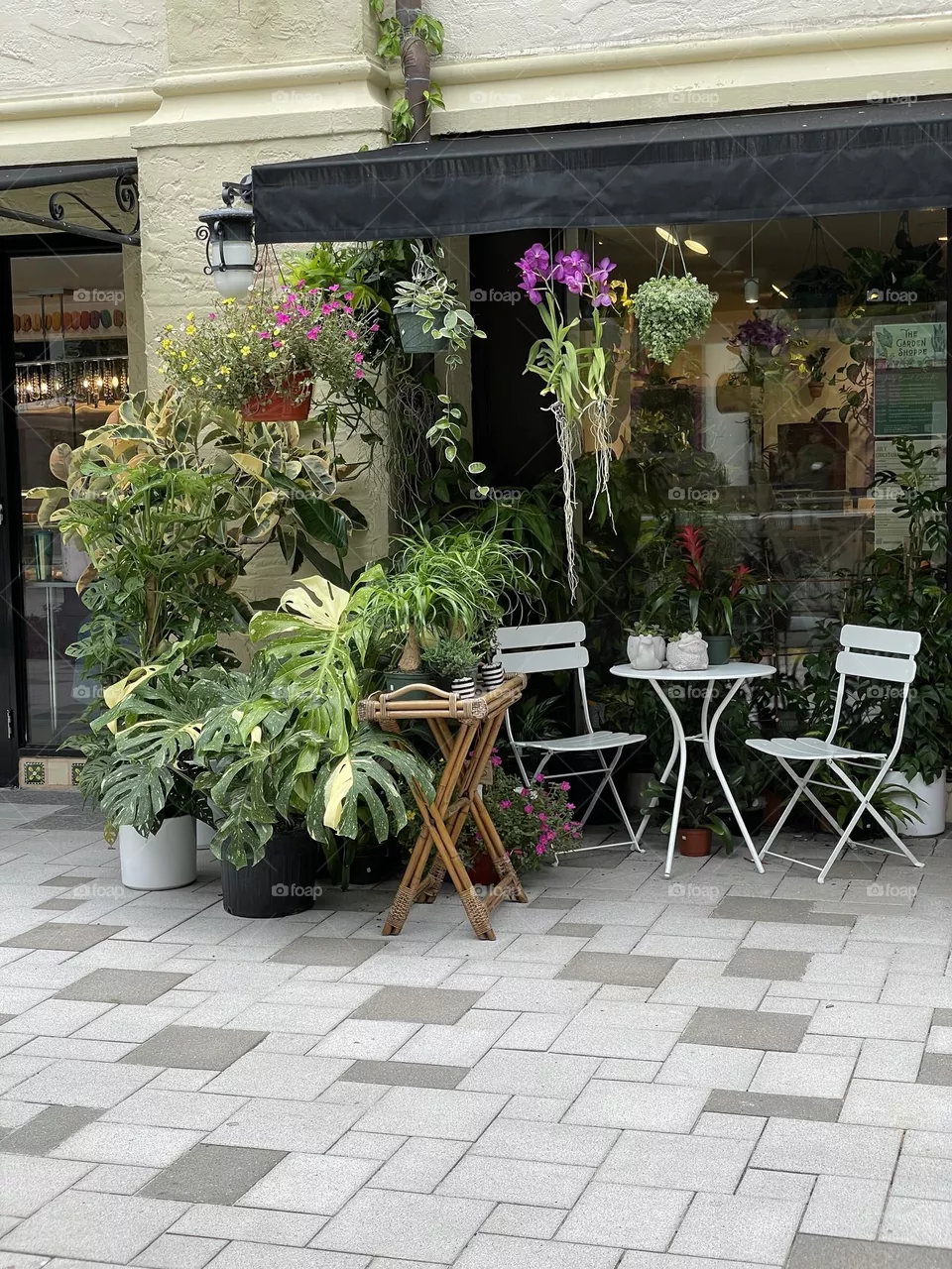Plant Life Cafe