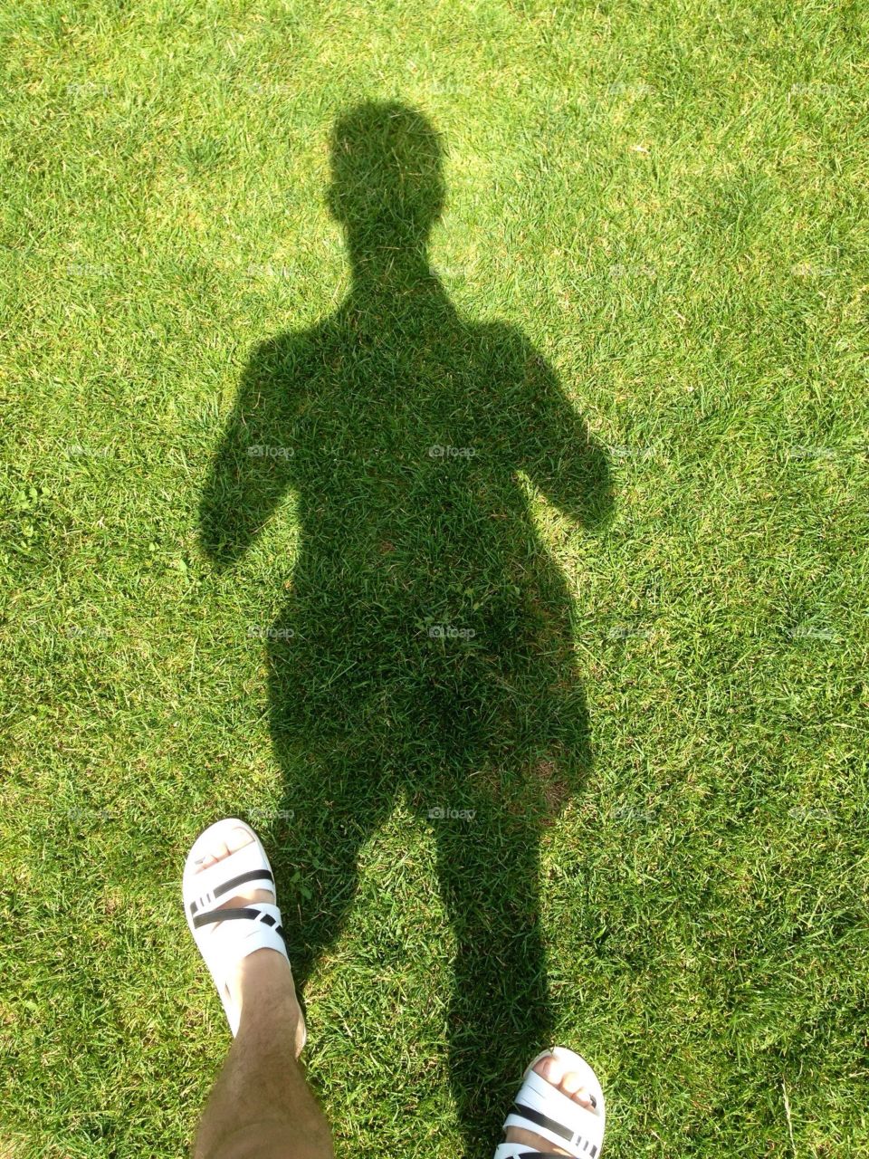 The green lawn with the shadow of a man