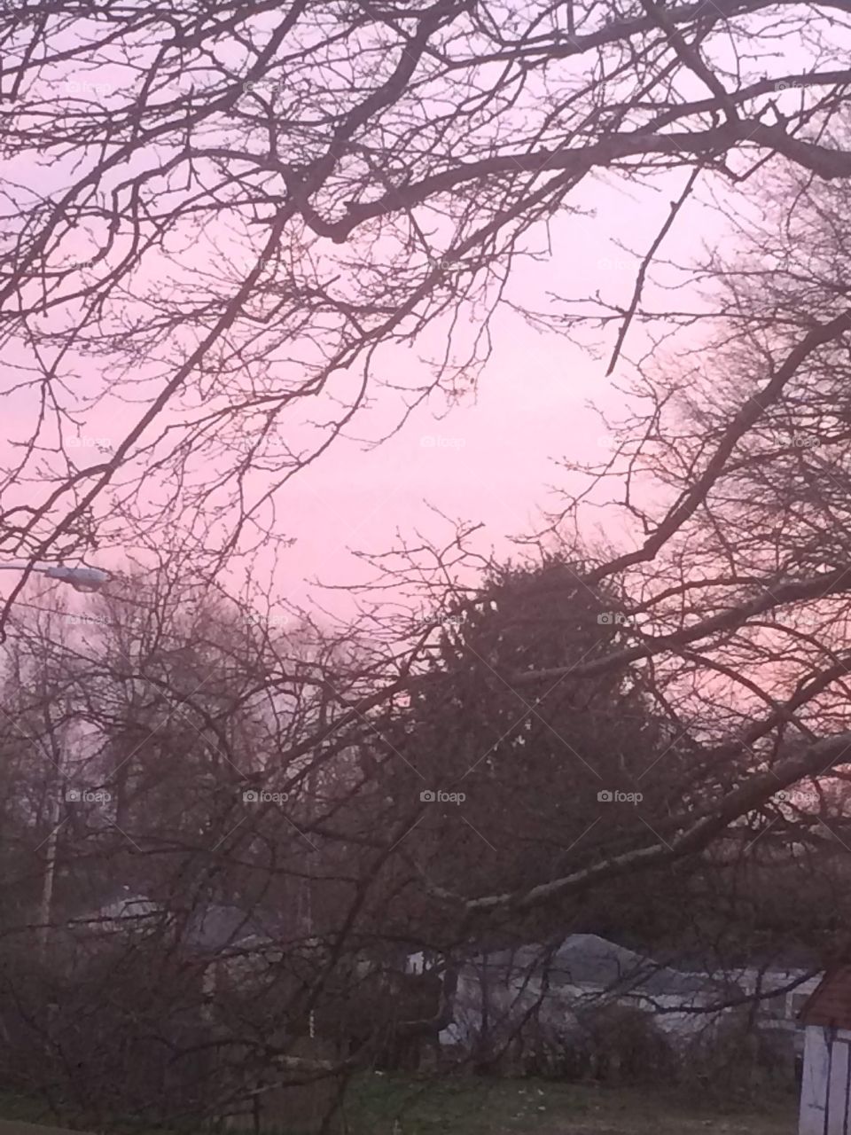 What a beautiful pink background 