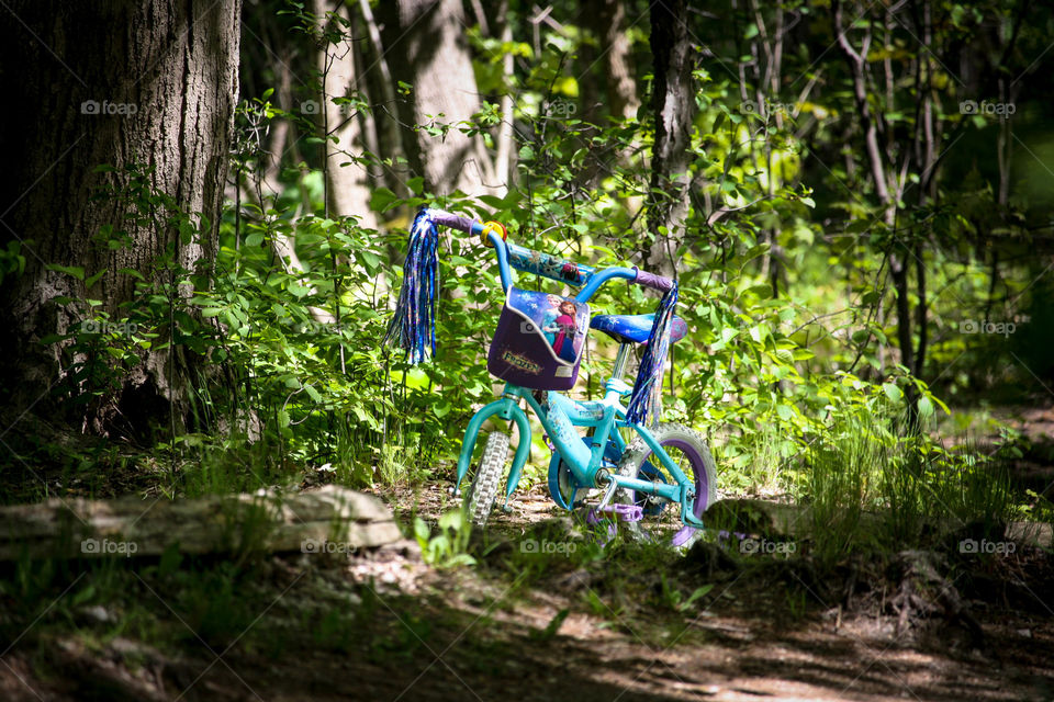 Lovely girl's bike in the woods