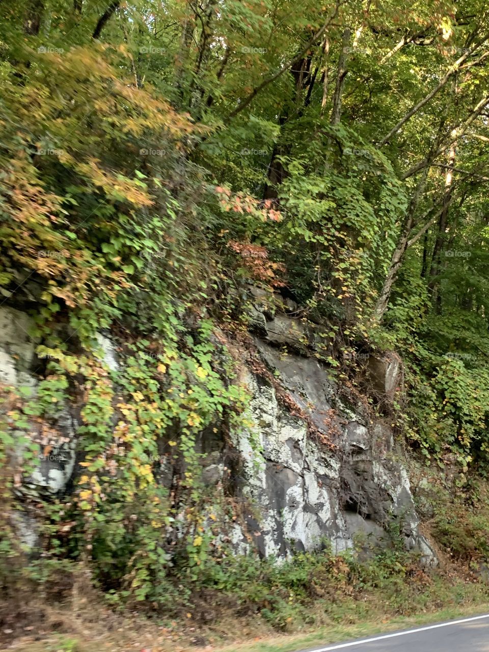 Nature- Side of the mountain 