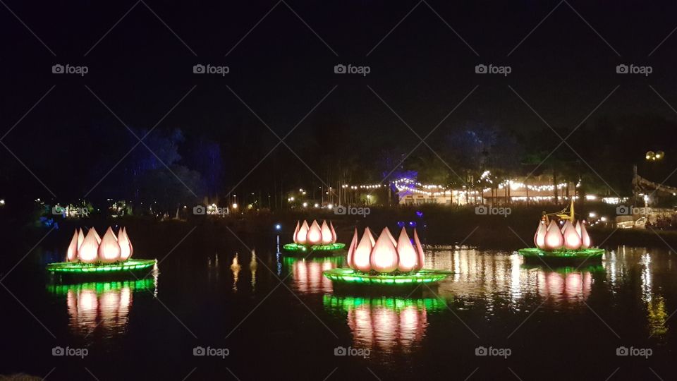 The flowers light up the waters of Discovery River during Rivers of Light at Animal Kingdom at the Walt Disney World Resort in Orlando, Florida.