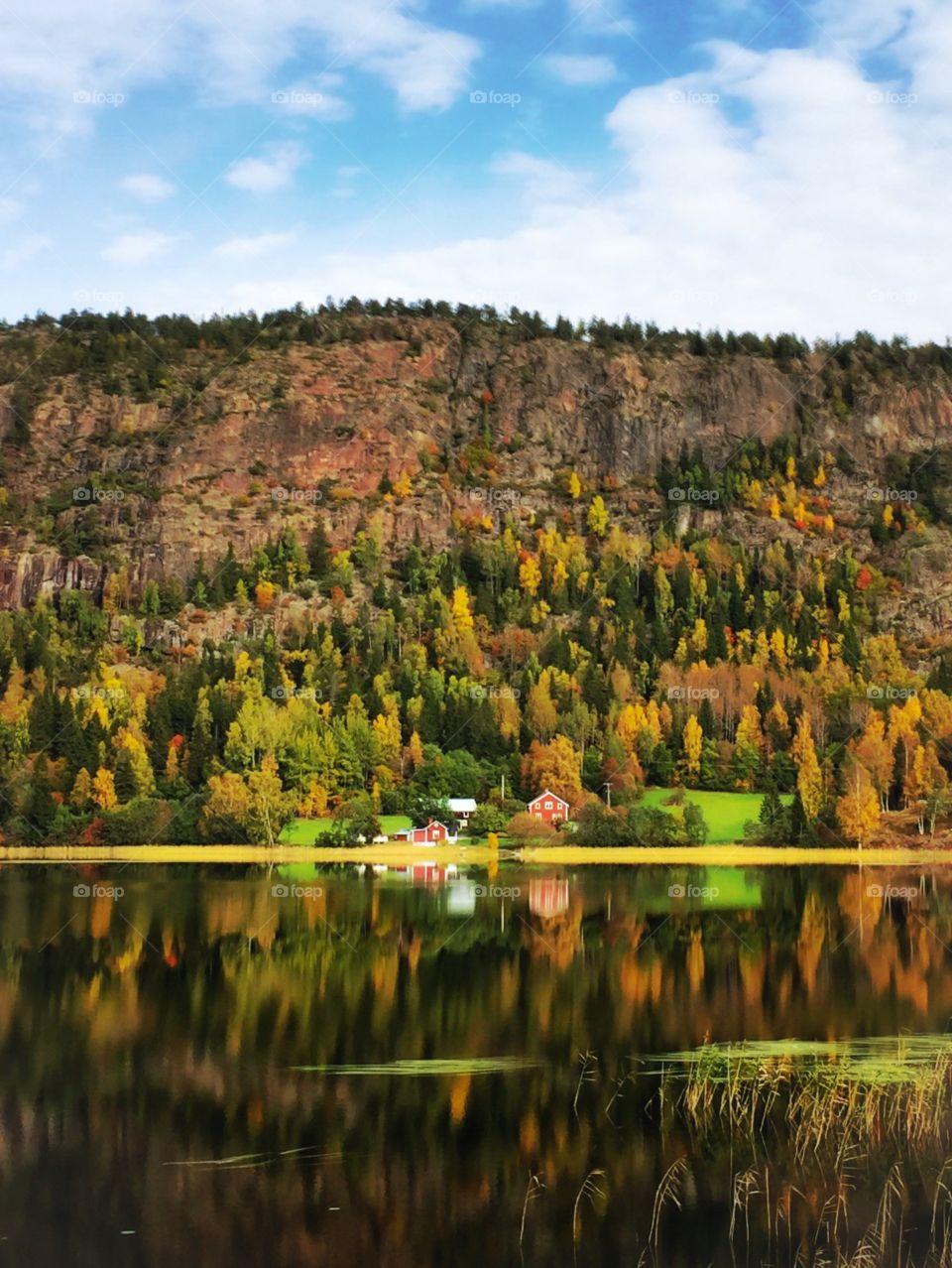Fall at the High Coast World Heritage, Sweden