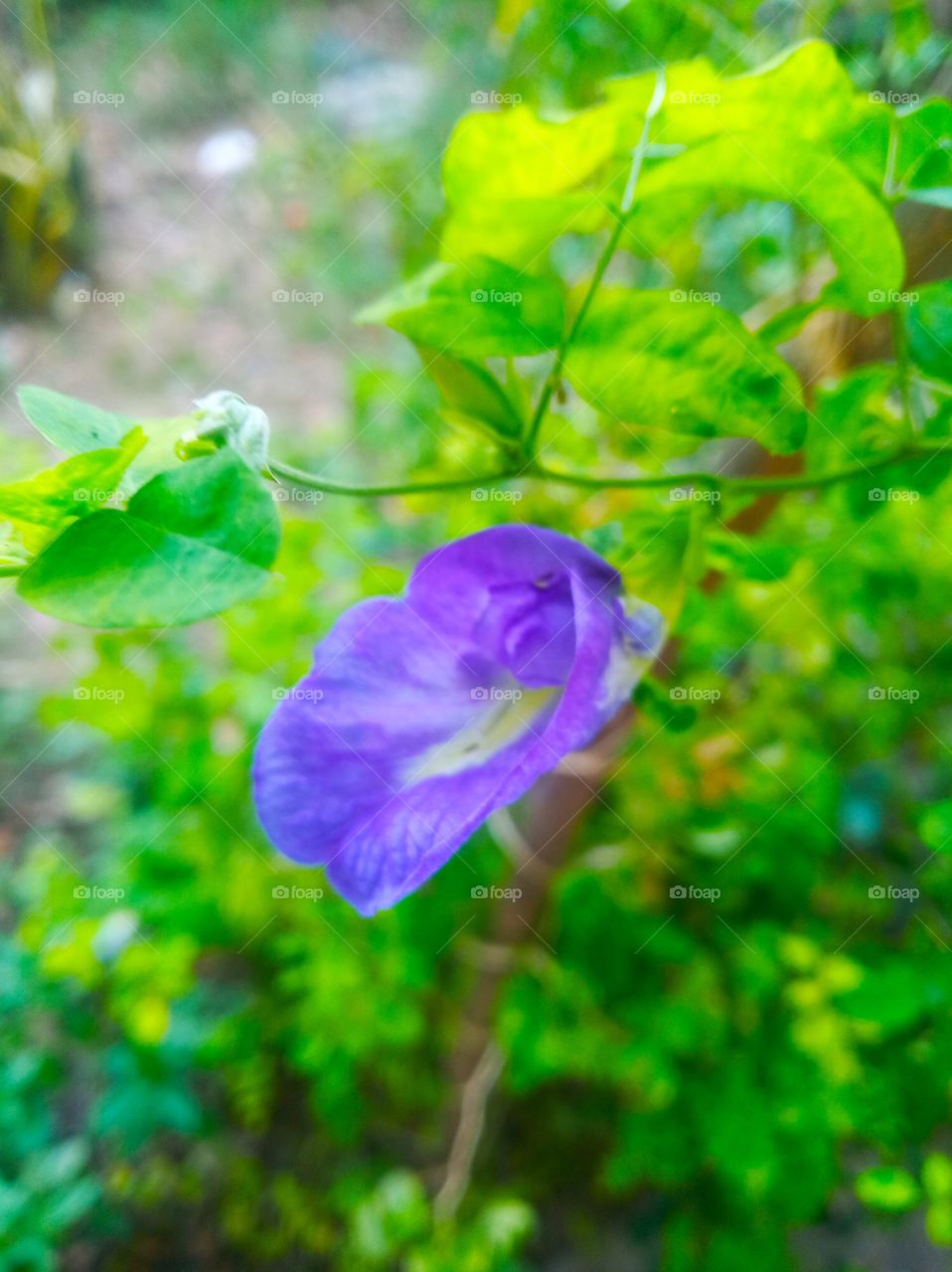 Sometimes walking around in nature can lighten up your mood.