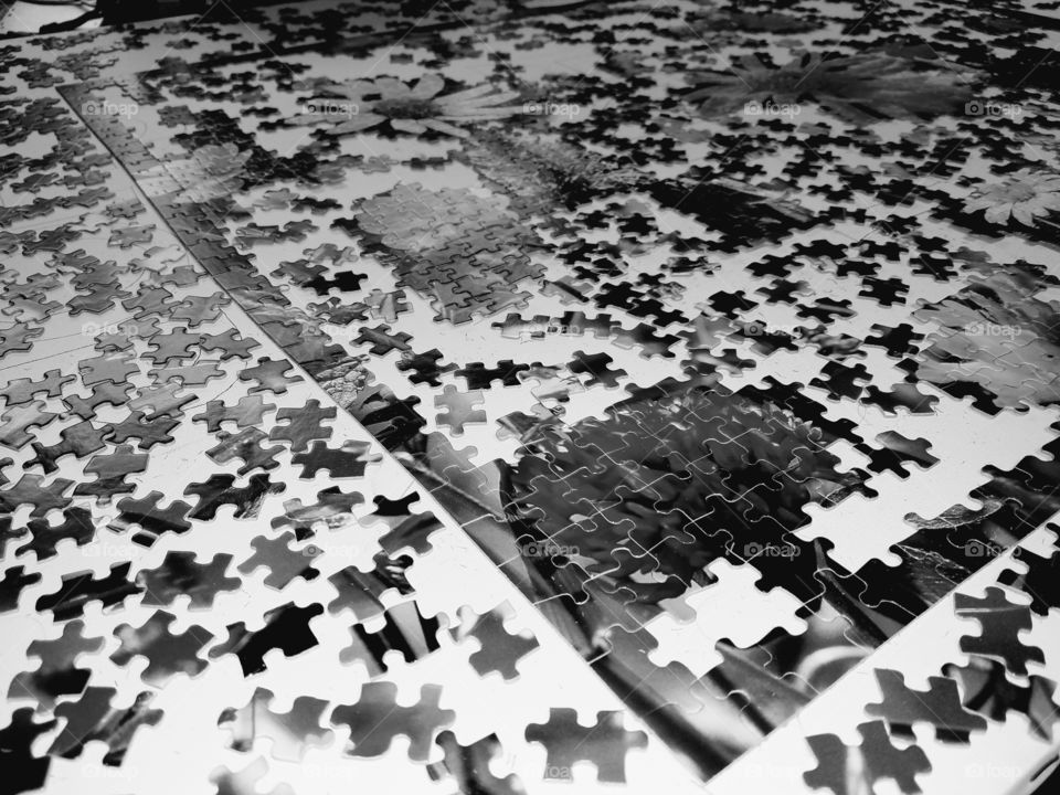 Monochrome Jigsaw Puzzle