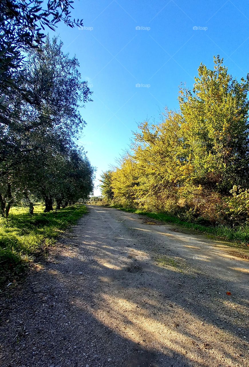 country side in autumn