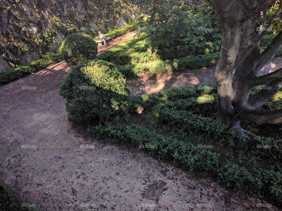 No Person, Garden, Tree, Leaf, Landscape