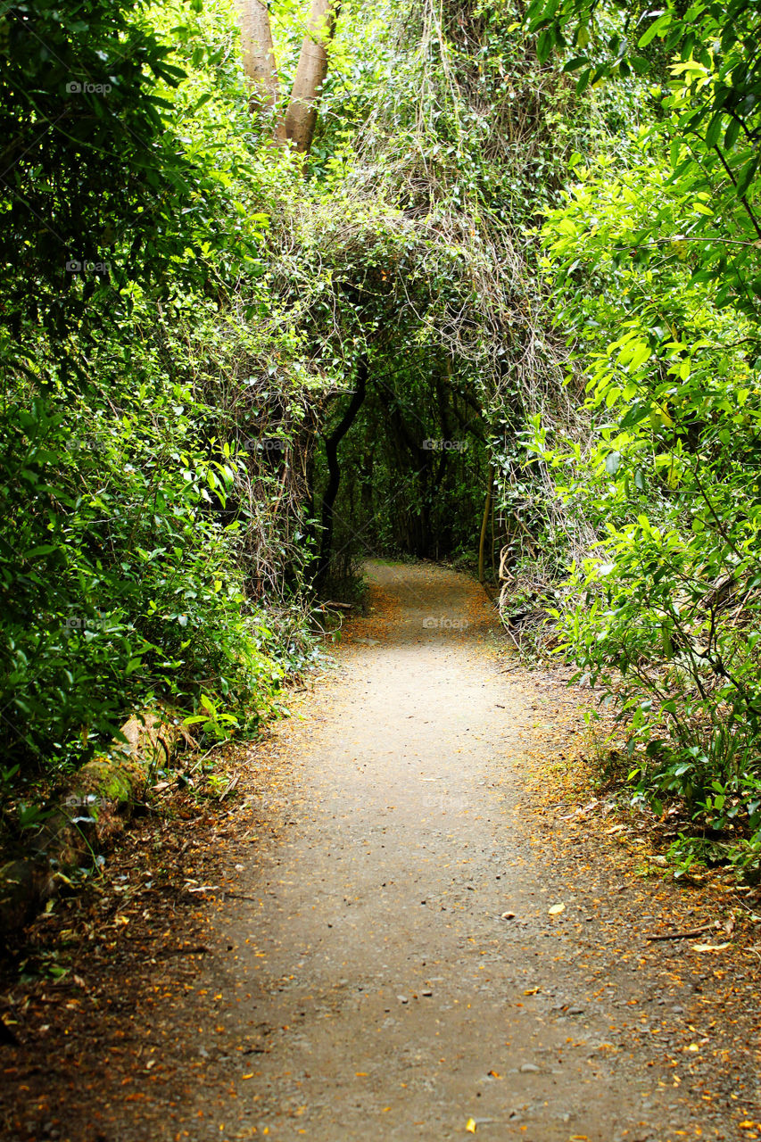 Hiking trails