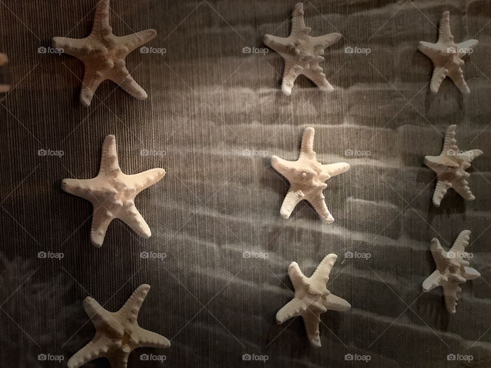 Stunning Starfish Art!