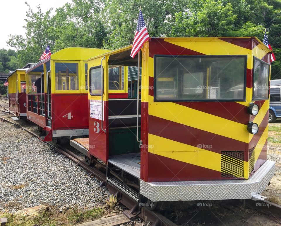 Craggy Mountain Train Ride