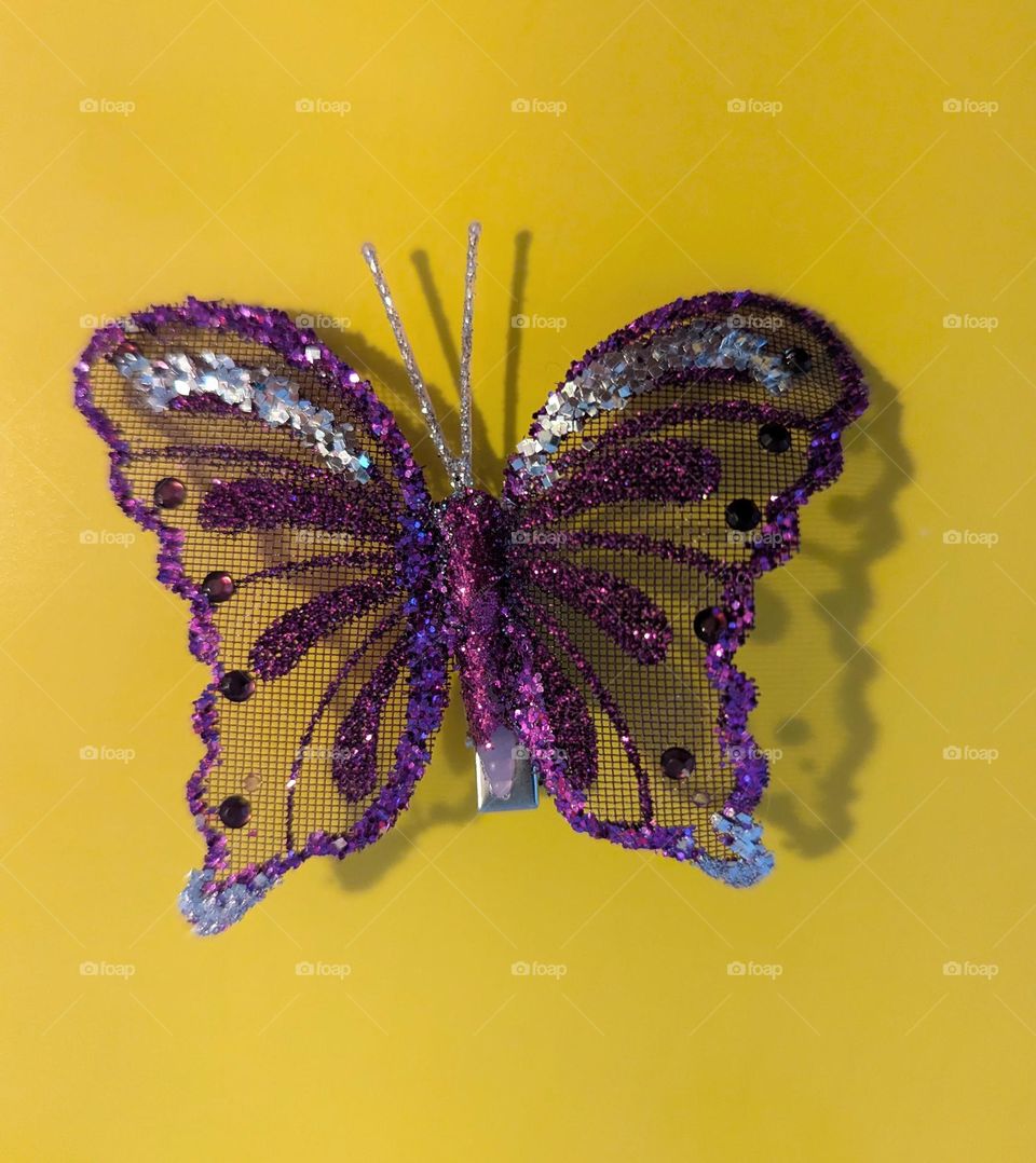 purple butterfly on yellow