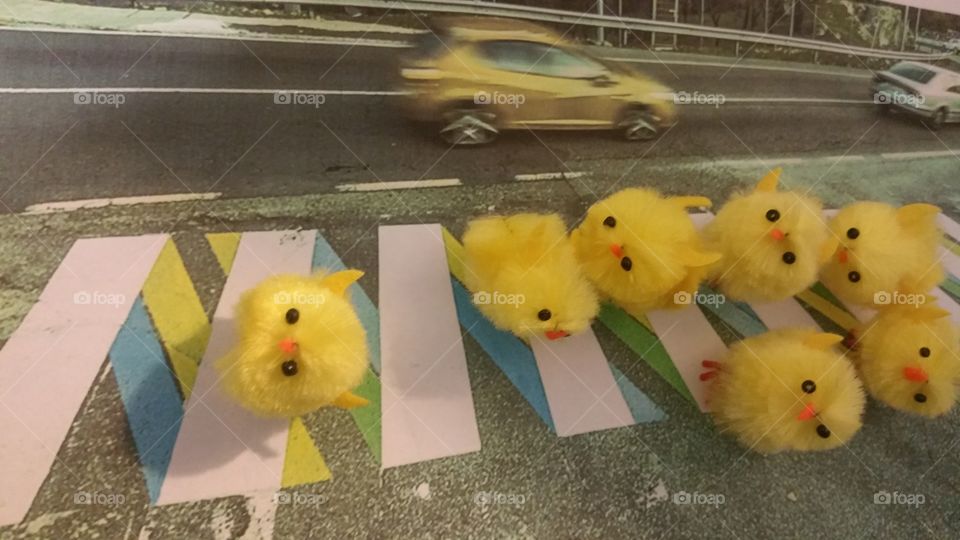 easter chicks crossing road