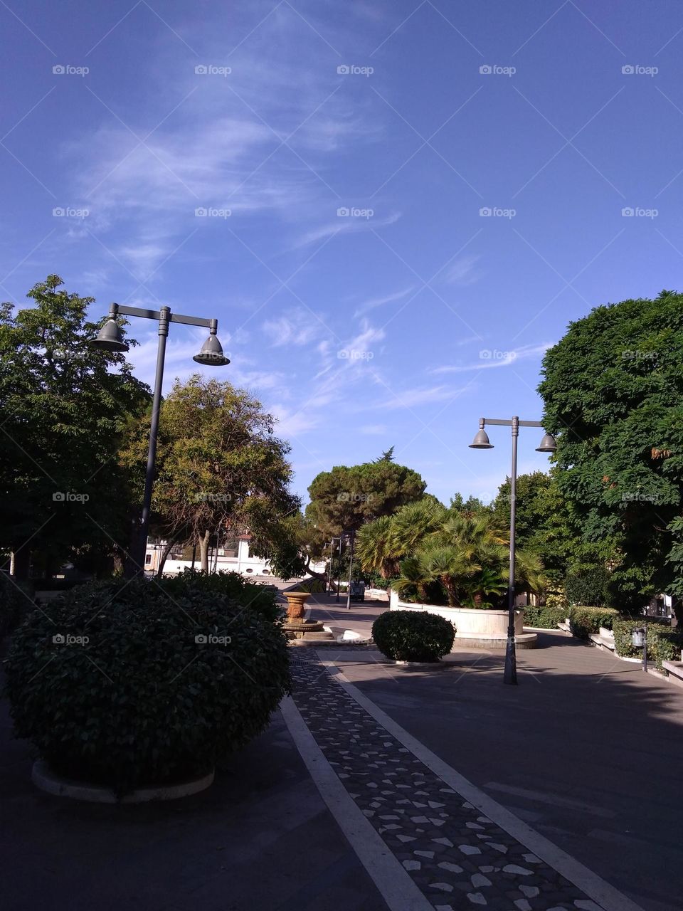 Editors' Choice: Photo of the Week