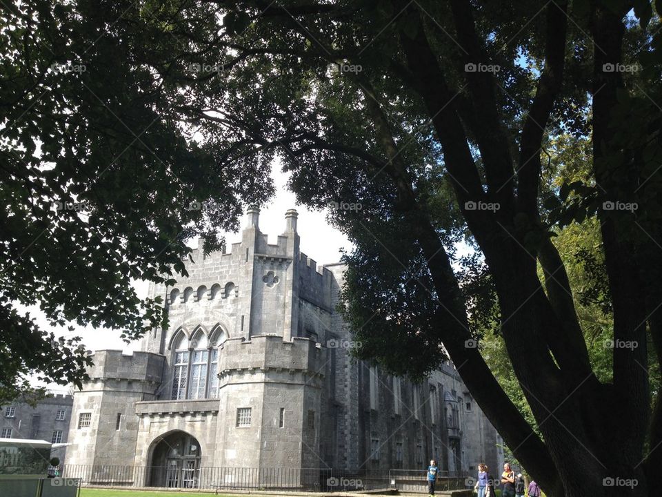 Kilkenny castle 