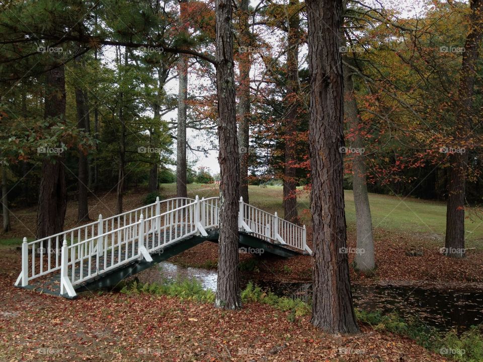 Simplicity is sometimes the best way to enjoy the moment