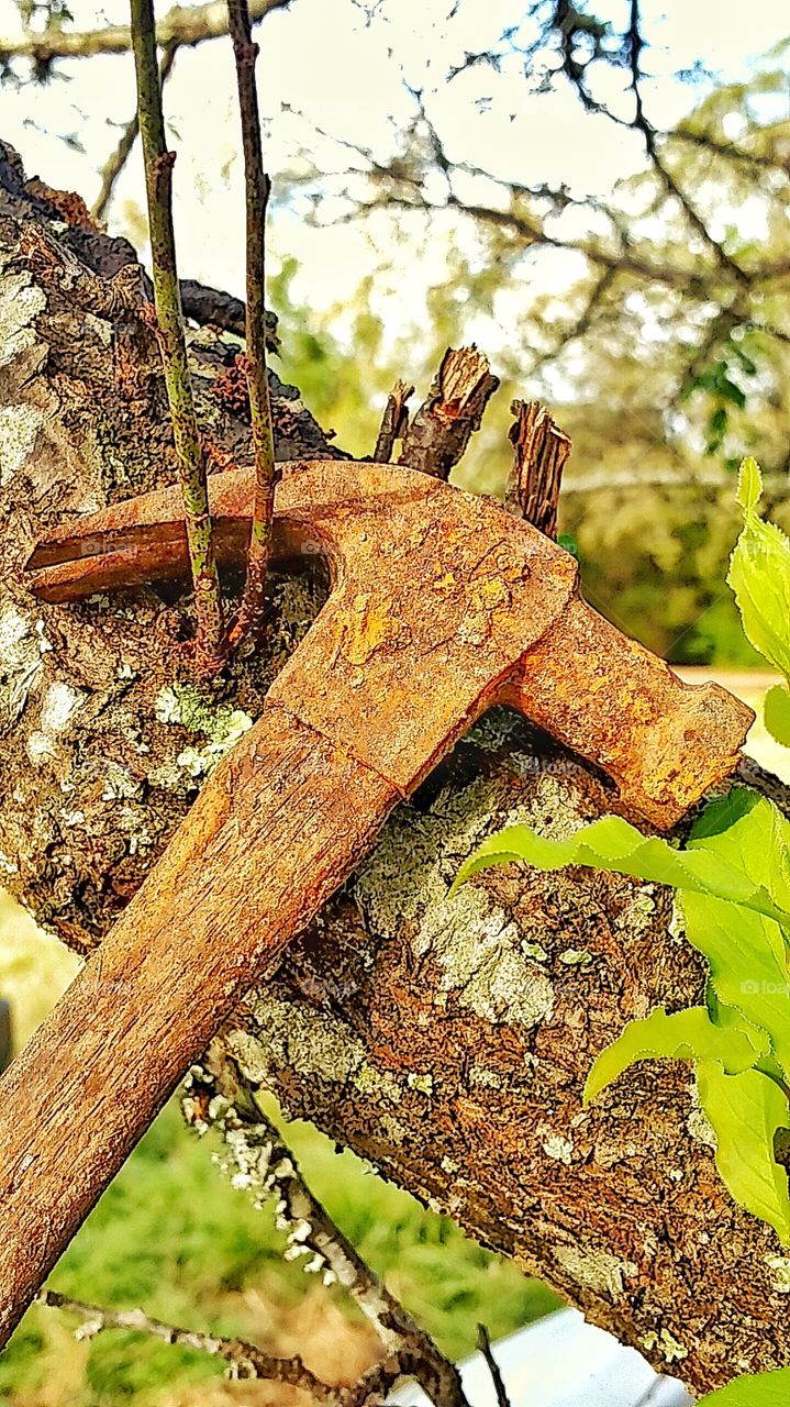 old rusted hammer