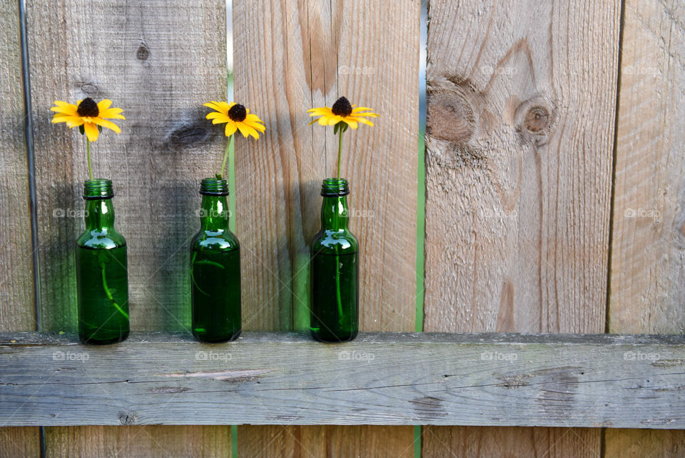 Row of three small recycled glass bottles used as vases to hold individual black eye susan flowers