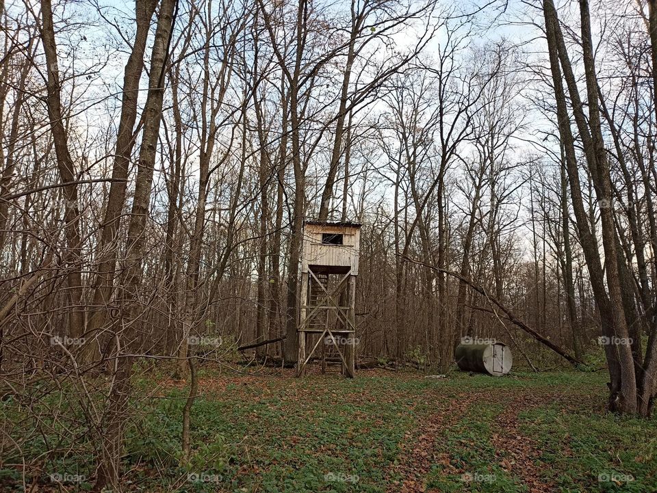 Animal observation point in the forest
