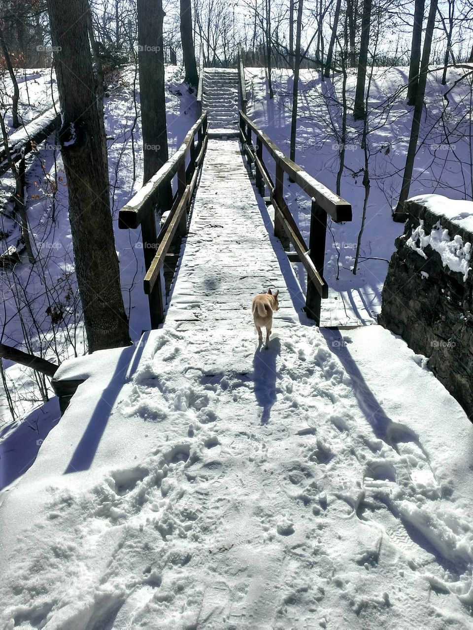 Out For A Winter Hike