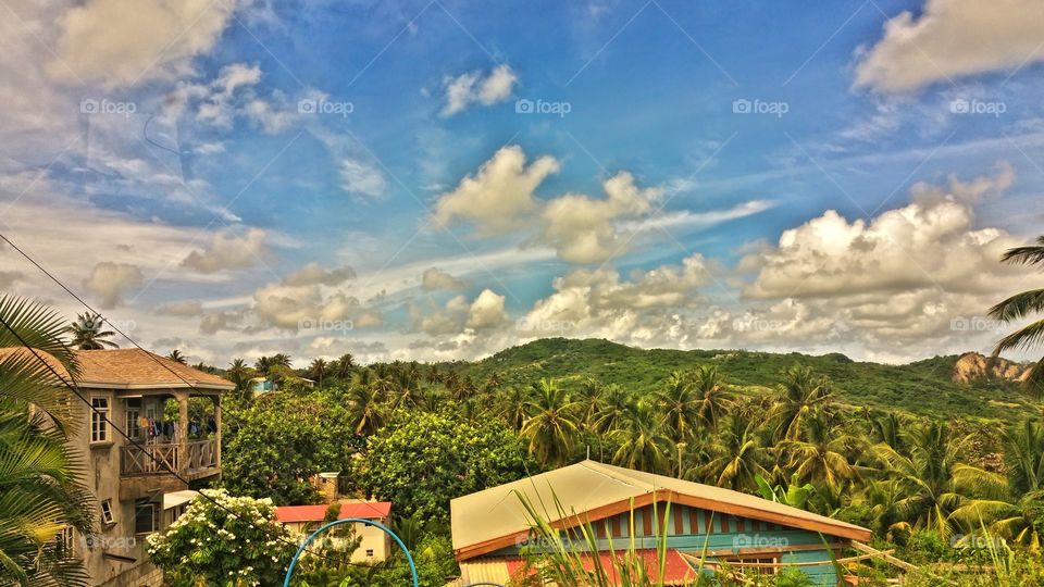 Countryside view Bathsheba Barbados