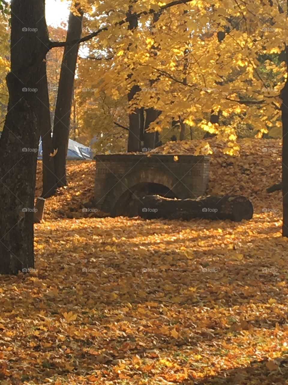 Autumn Tartu 