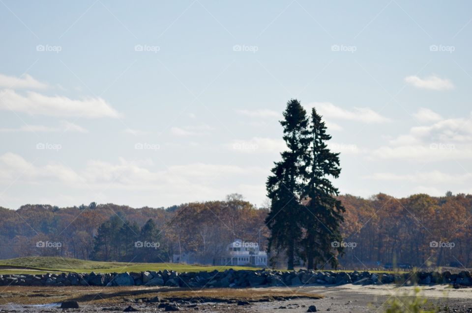 Rural house in Maine 