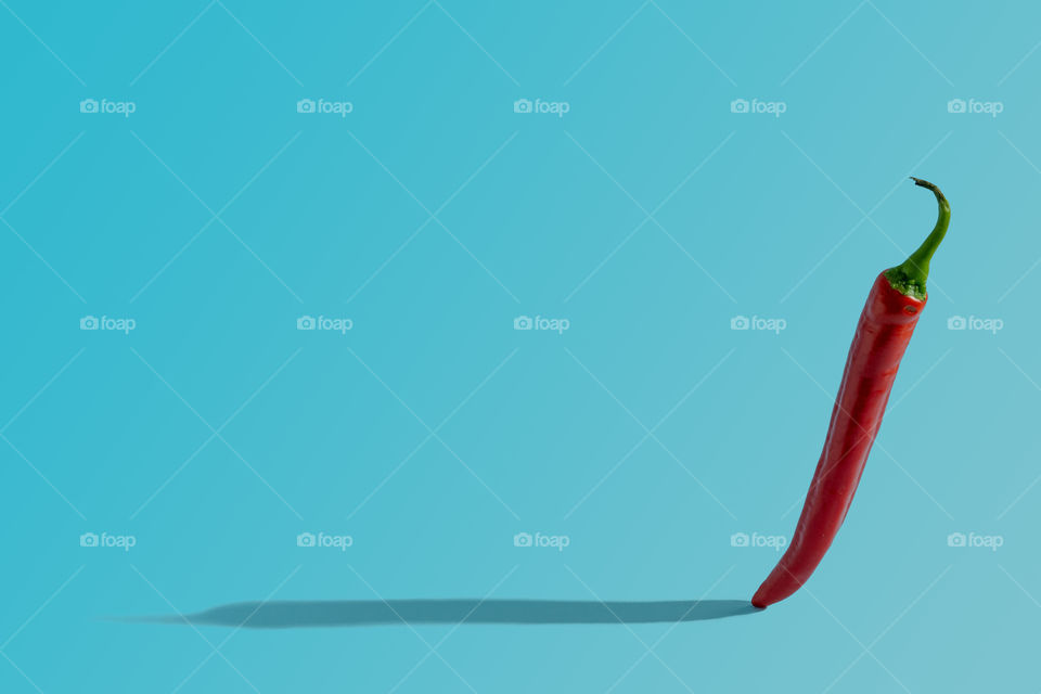 Red chilli pepper against blue background