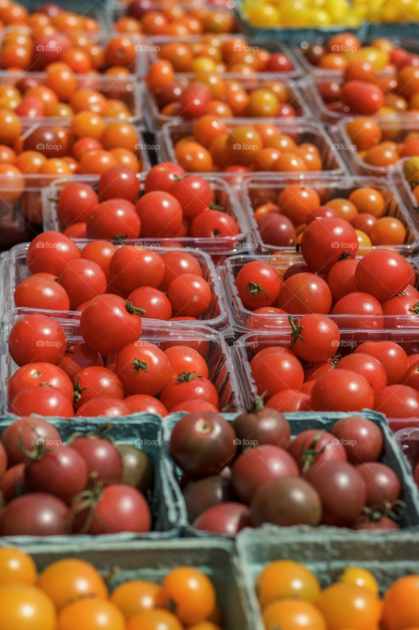 Tomatoes and more tomatoes