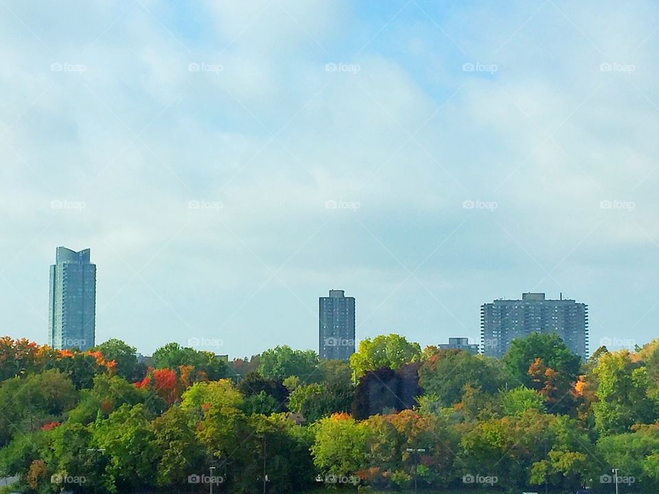Cityscape in the fall 