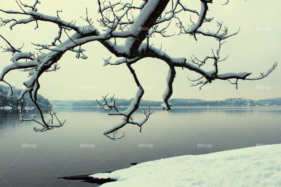 Idyllic lake during winter
