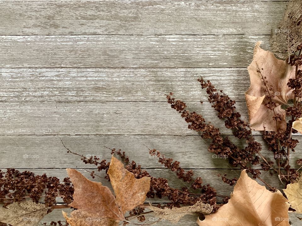 Dried plant and withered leaves in autumn colors on wood with copy space, landscape