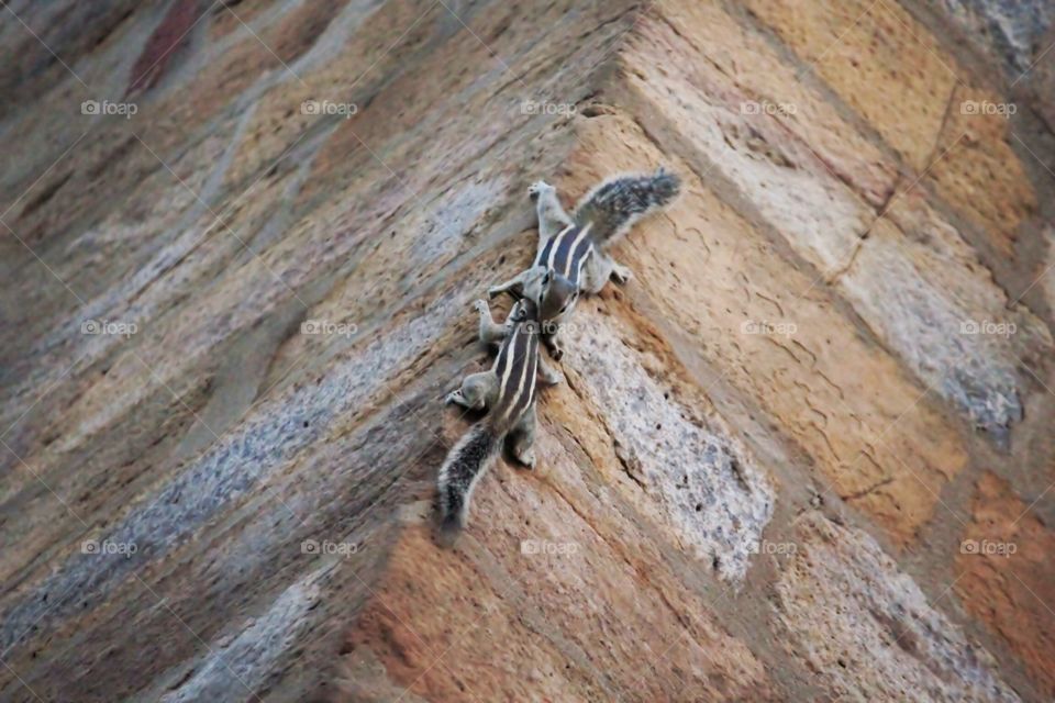 Qutub Minar #16. Qutub Minar, New Delhi, India