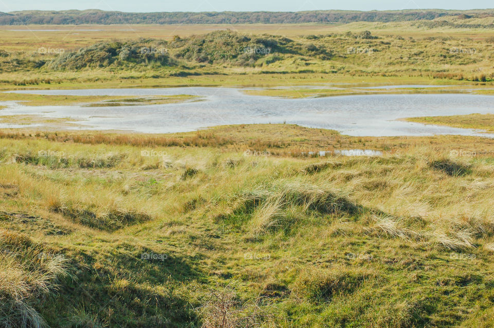 Nature On Texel The Netherlands