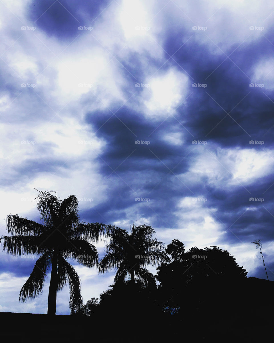 E a #chuva prometida não chegou ao #VetorOeste de #Jundiaí...
☔️
#FOTOGRAFIAéNOSSOhobby
#paisagem #natureza #coqueiro #nuvens #silhueta