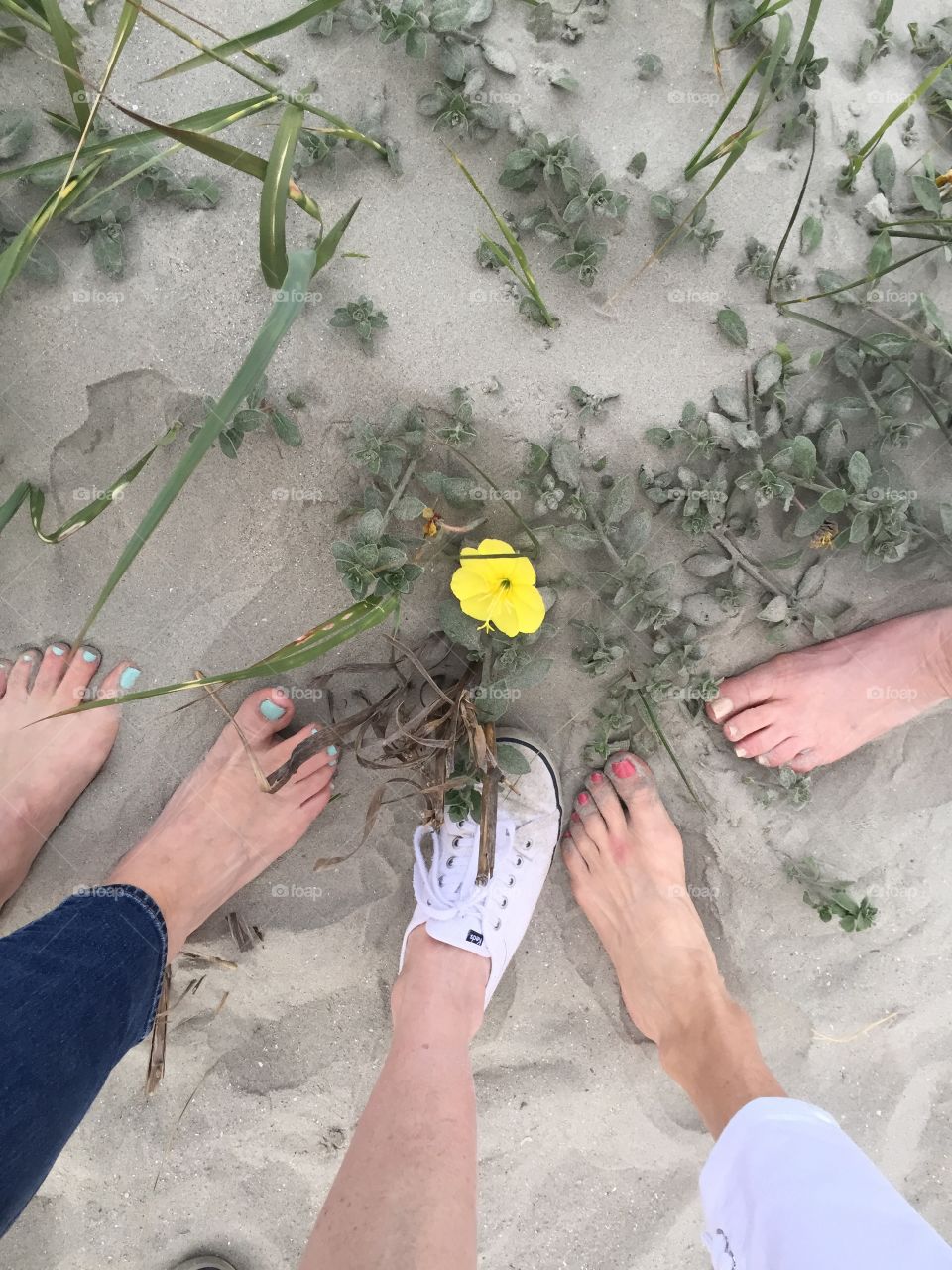 Feet in the sand