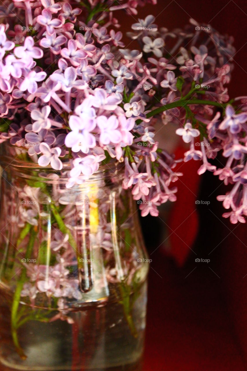 purple flowers in glass vase