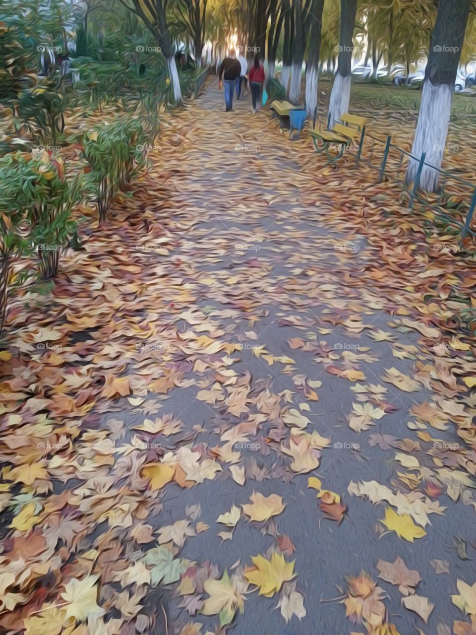 leaves , autumn , street , park