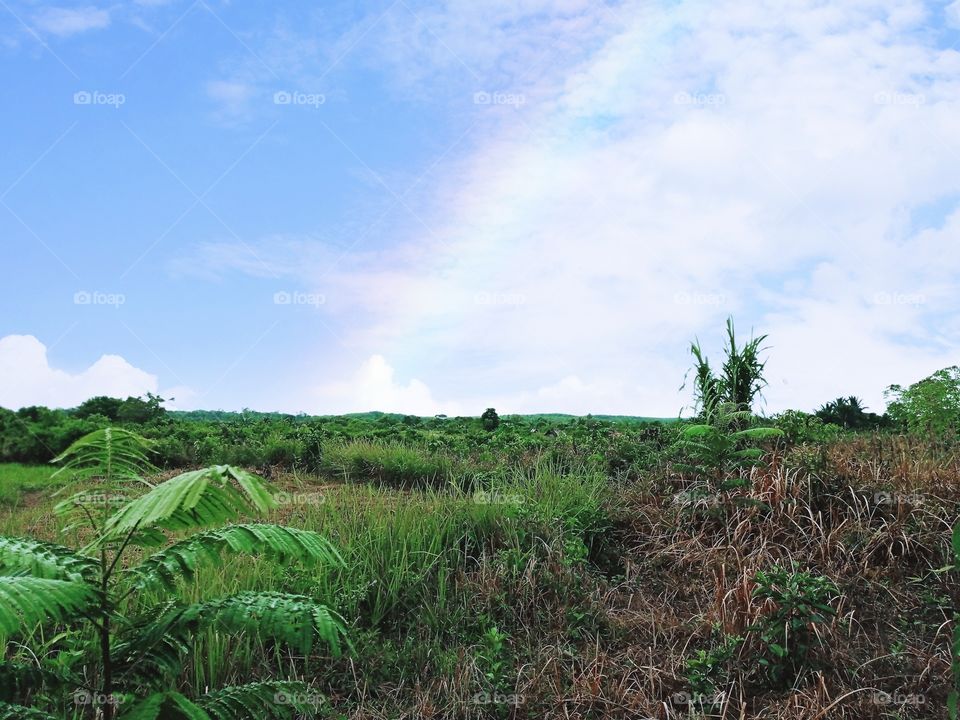 Want to open a farm...