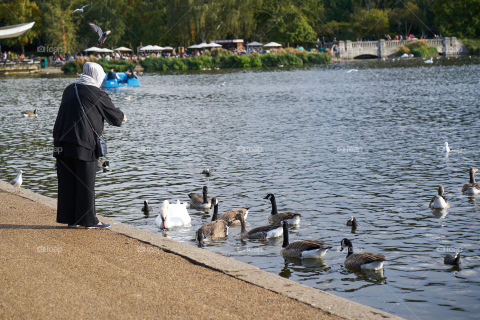 Feeding ducks