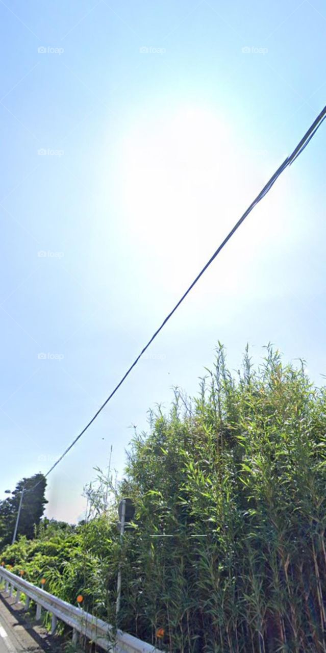 Chia cắt đối xứng.