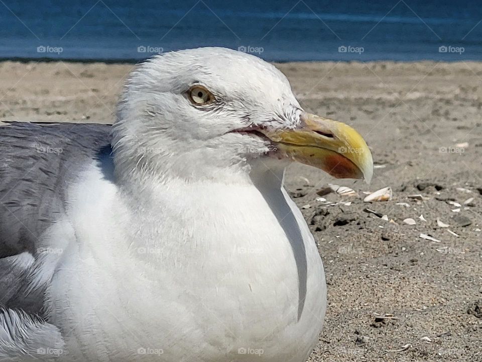 Warm day on the beach