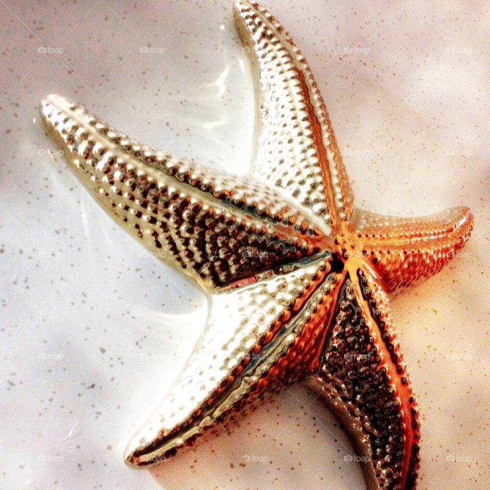 Starfish